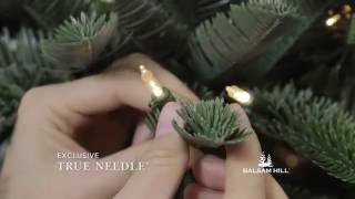 Balsam Hill™  Noble Fir Flip Tree [upl. by Valera]