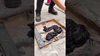 🚫➡️🛠️ DIY Asphalt Repair Transforming Potholes StepbyStep 🛣️ [upl. by Ellyn]