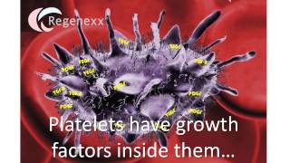 What is platelet lysate [upl. by Sierra]