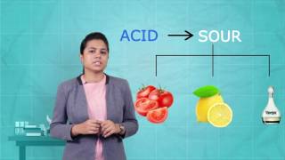 Acids Bases and Salts  1  Introduction  CBSE Class 10 [upl. by Terrell]