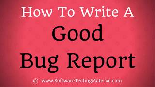 How To Write A Good Bug Report  Bug Report Template [upl. by Huoh960]