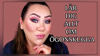 ALLT DU BEHÖVER VETA OM ÖGONSKUGGA  ingående tutorial [upl. by Aneetak]