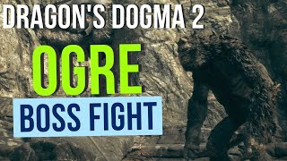 Dragons Dogma 2  Ogre Fighter [upl. by Acim]