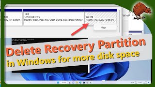 Cannot Delete Partition Delete Volume Is Not Enabled In Disk Management [upl. by Strong]