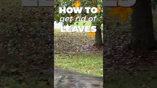 How to Get Rid of Leaves [upl. by Ruenhcs789]