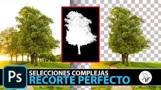 Selecciones complejas en Photoshop ¡HAZ EL RECORTE PERFECTO [upl. by Pail]