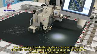 Richpeace Automatic Single Head Leather Sewing Machine [upl. by Dewar]