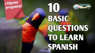 10 informal ways to ask quotHow are youquot in Spanish [upl. by Oicangi]