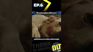 EP6 พี่ชายขโมยสุนัขมาให้น้องสาว แต่เมื่อน้องสาวจากไปเขากลับโทษสุนัข [upl. by Eiramalegna419]