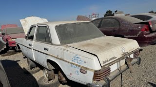 Day 1 of Junkyard Roadtrip to Las Vegas 2 Junkyards in Fresno with Mercedes BMWs amp Pack of Dogs [upl. by Hillier125]