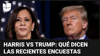 Harris vs Trump ¿quién lidera la intención de voto en estados péndulos Esto dicen las encuestas [upl. by Wadlinger]