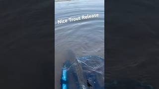 Rainbow trout  Lake Chabot CA  Catch and Release shorts short fishing [upl. by Nangem484]