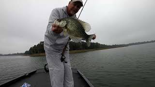 Catching Crappie on the Harris Chain of Lakes Florida Big Crappie Fishing [upl. by Idnahr]