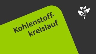 Der biologische Kohlenstoffkreislauf  Biologie  Ökologie [upl. by Critta84]