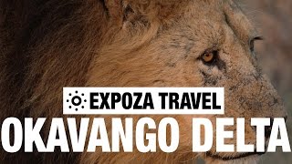 Okavango Delta Vacation Travel Video Guide [upl. by Emie]