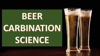 Carbonation Science  Beer Carbonation [upl. by Oemac]