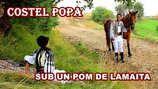 Costel Popa  SUB UN POM DE LAMAITA OFFICIAL CLIP HD  Invartita de pe Tarnave [upl. by Rudman810]