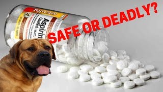 Are Human Pain Medications Safe For Dogs Advil Aspirin etc [upl. by Lacie]