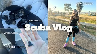 Scuba Shark Tooth Dive Venice Florida 4K [upl. by Sophia288]