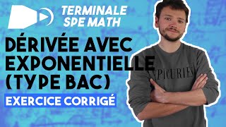 La fonction exponentielle EXERCICE TYPE BAC  Spé maths  Terminale [upl. by Gerty]