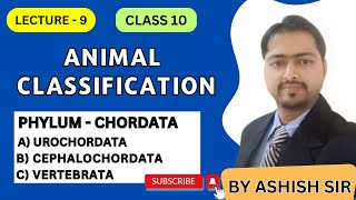 Understanding Phylum Chordata Urochordata Cephalochordata and Vertebrata  Class 10 Hindi [upl. by Aim]