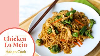 HOW TO MAKE  Chicken Lo Mein Easy amp Tasty [upl. by Oiratno470]