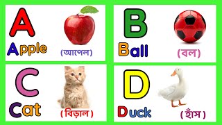 Learn Alphabet A To Z  English Alphabet With Life Example  ABC Preschool  A to Z acbd Video [upl. by Nnayd]