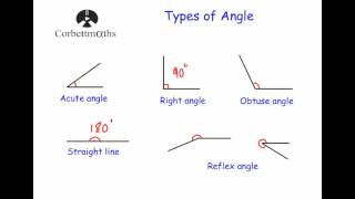 Types of Angle [upl. by Kessel625]