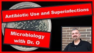 Broad Spectrum Antibiotics and Superinfections Microbiology [upl. by Eem]