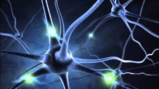 quotMIRACLEquot NERVE REGENERATION  16 Hz ALPHA BINAURAL BEATS MEDITATION MUSIC [upl. by Roda833]