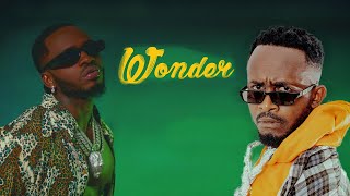 WONDER  USWEGE ft DIAMOND PLATNUMZ [upl. by Adle]