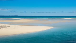 Honeymoon Island amp Caladesi Island State Parks FL [upl. by Lucius579]