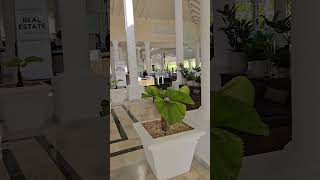 Bahia Principe Ambar Lobby [upl. by Adnek194]