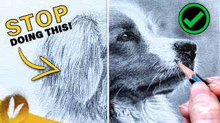 Key Components Of Fur  Drawing Realistic Fur Tutorial  How To Draw Fur Step By Step Do’s amp Don’ts [upl. by Ecyob]