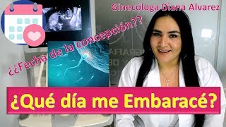 ¿QUÉ DÍA ME EMBARACÉ ¿CÓMO CALCULAR LA FECHA DE CONCEPCIÓN POR GINECOLOGA DIANA ALVAREZ [upl. by Cromwell948]