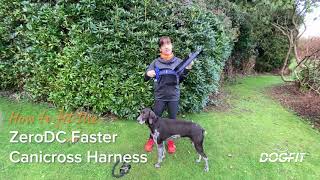 How to fit a running harness for my strong pulling dog [upl. by Htebazie510]