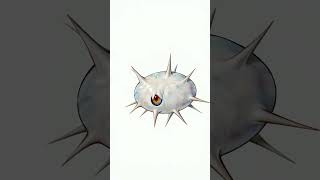 Wurmple Evolves into Silcoon amp Beautifly [upl. by Barkley887]