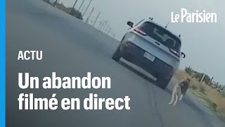 Ce chien court après la voiture de son maître qui vient de labandonner avant dêtre sauvé [upl. by Lessirg]