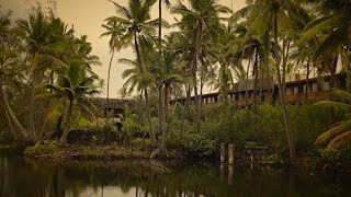 Coco Palms Resort Elvis Presleys quotBlue Hawaiiquot [upl. by Nallid]