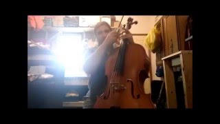 Eastman Cello review [upl. by Attevaj]