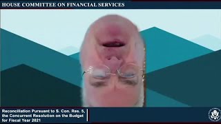 Congressman Tom Emmer appears upside down on Zoom hearing [upl. by Jovia]