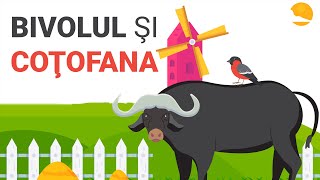 Bivolul Si Cotofana de George Toparceanu Fabula [upl. by Sivam]