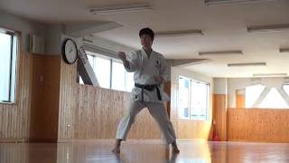 JKA Hangetsu 41 moves by Naka Sensei [upl. by Ecienal930]