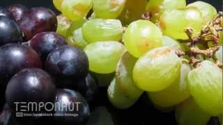 Grapes To Raisins  Rotting Fruit TimeLapse  HD Video [upl. by Shirah]