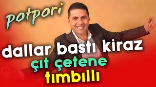 Şaban Gürsoy  Dalları Bastı Kiraz  Çıt Çetene  Tımbıllı  Potpori Klip [upl. by Ithsav415]