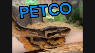 Rating Reptiles At Petco [upl. by Asquith]