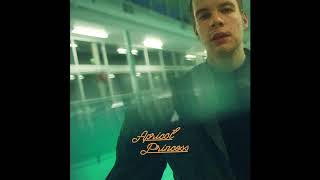 Rex Orange County  Happiness Official Audio [upl. by Atiseret921]