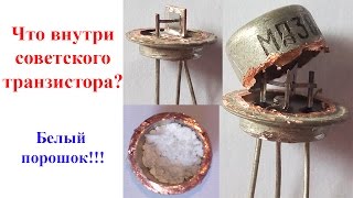 Что внутри транзистора Зачем белый порошок [upl. by Searby679]