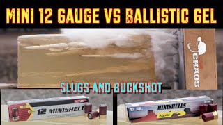 Mini 12 Gauge VS Ballistics Gel  EXOTIC SHOTGUN AMMO [upl. by Melvina]