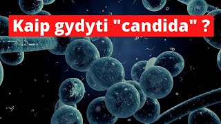 Kaip gydyti quotcandidaquot [upl. by Irrahs]